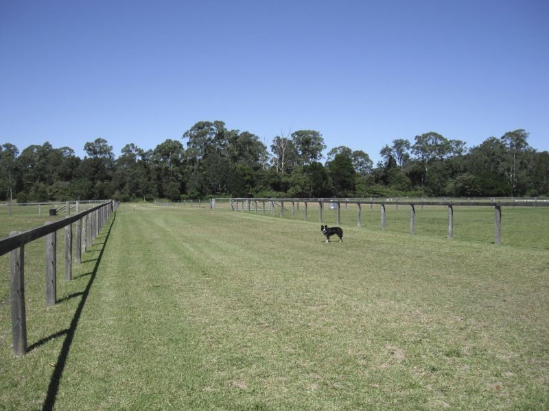 32 Dickson Road, Jilliby NSW 2259