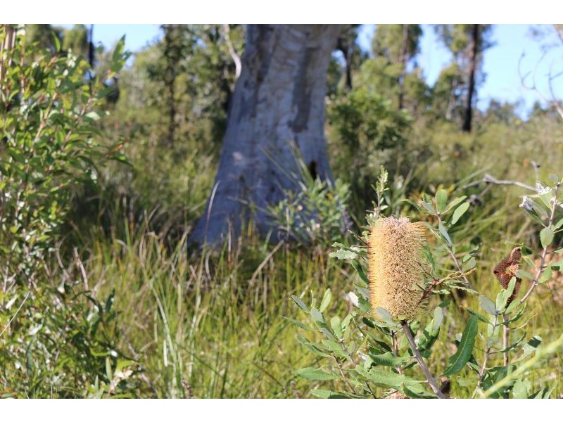 235 Summerhayes Road, Wyee NSW 2259