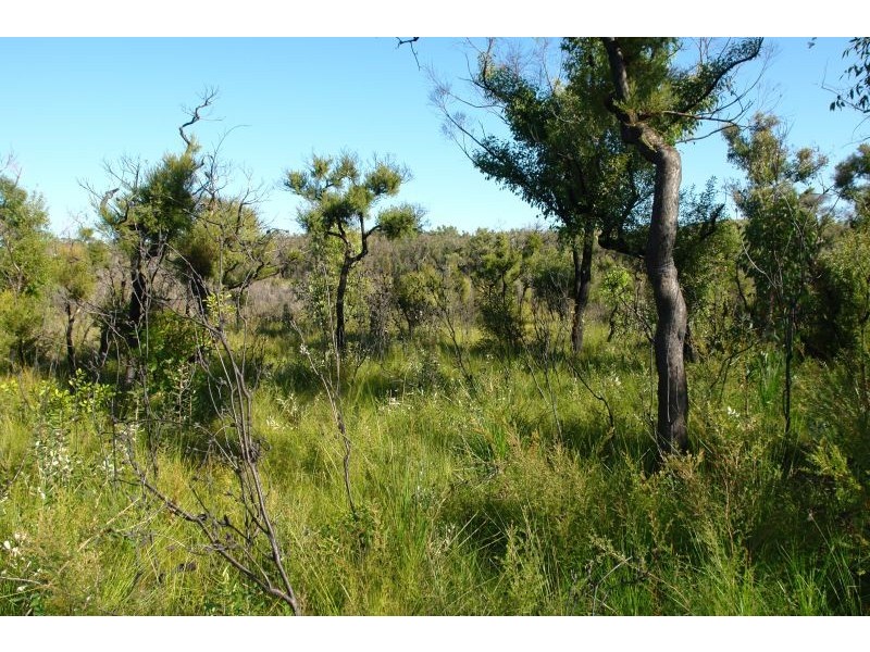 235 Summerhayes Road, Wyee NSW 2259