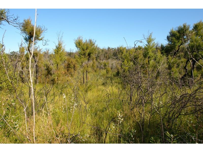 235 Summerhayes Road, Wyee NSW 2259