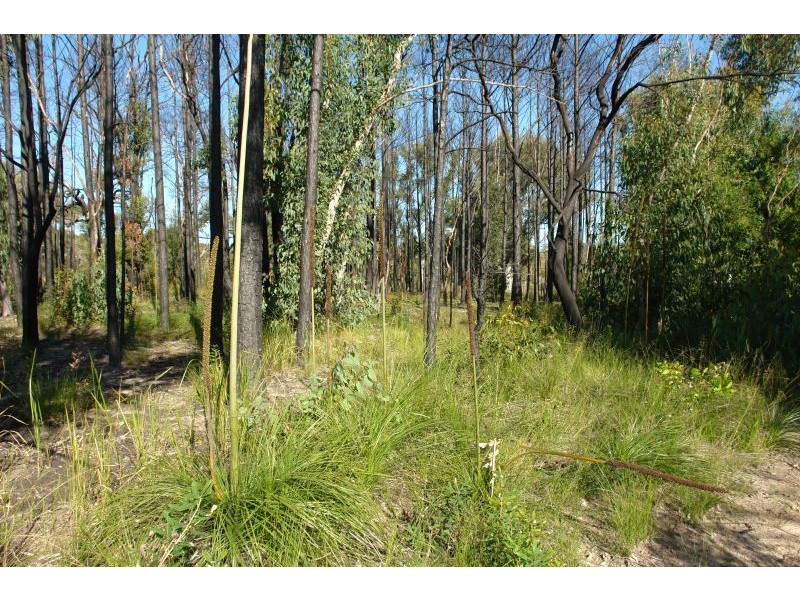 235 Summerhayes Road, Wyee NSW 2259