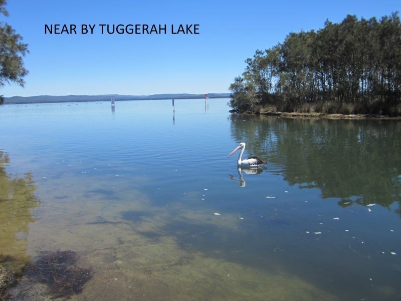 2/24 Coogee Avenue, The Entrance North NSW 2261