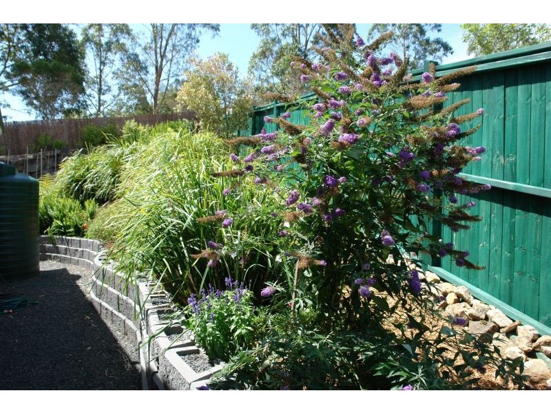 4 Fauna Place, Watanobbi NSW 2259