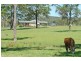 29 Timber Road, Mandalong NSW 2264