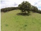 29 Timber Road, Mandalong NSW 2264