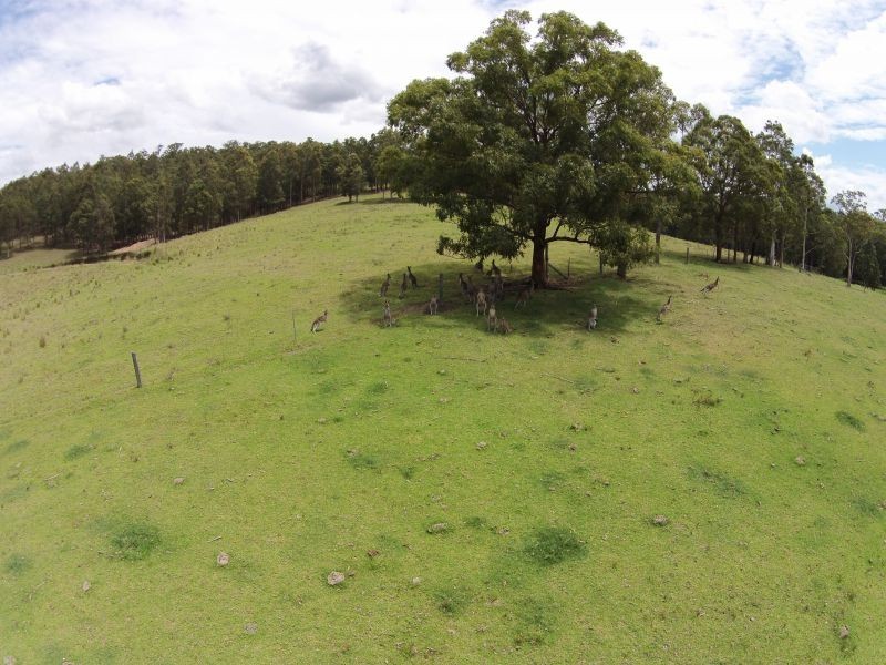 29 Timber Road, Mandalong NSW 2264