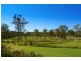 830 Dickson Road, Dooralong NSW 2259