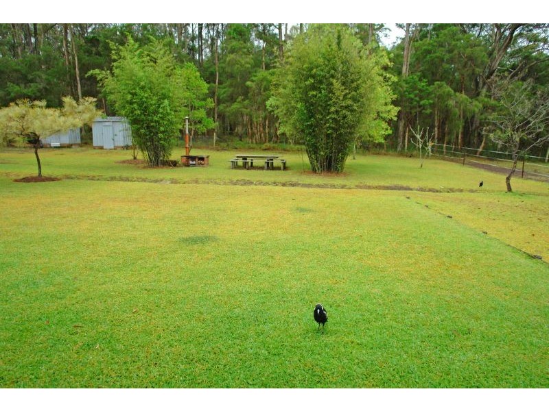 4 Song Bird Lane, Jilliby NSW 2259