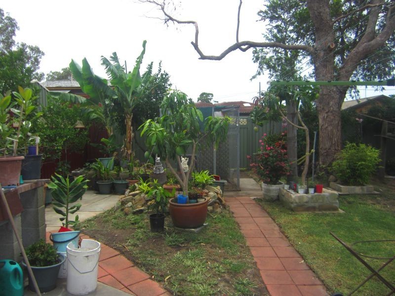 83 Robson Avenue, Gorokan NSW 2263