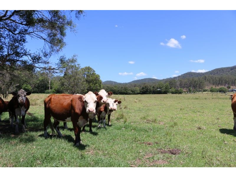 1021 Dooralong Road, Dooralong NSW 2259