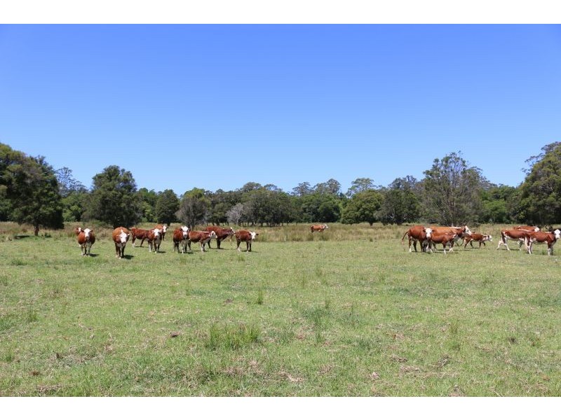 1021 Dooralong Road, Dooralong NSW 2259