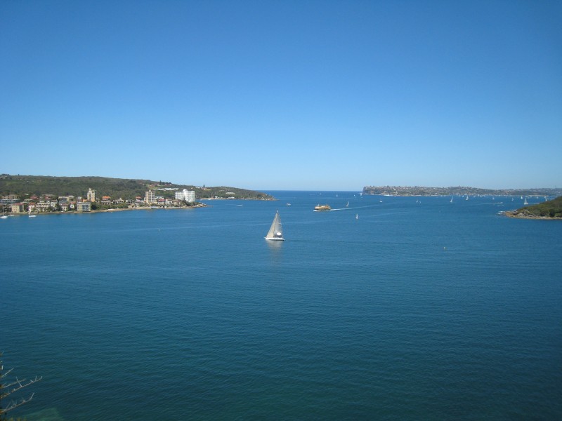 50/1 Lauderdale Avenue, Fairlight NSW 2094