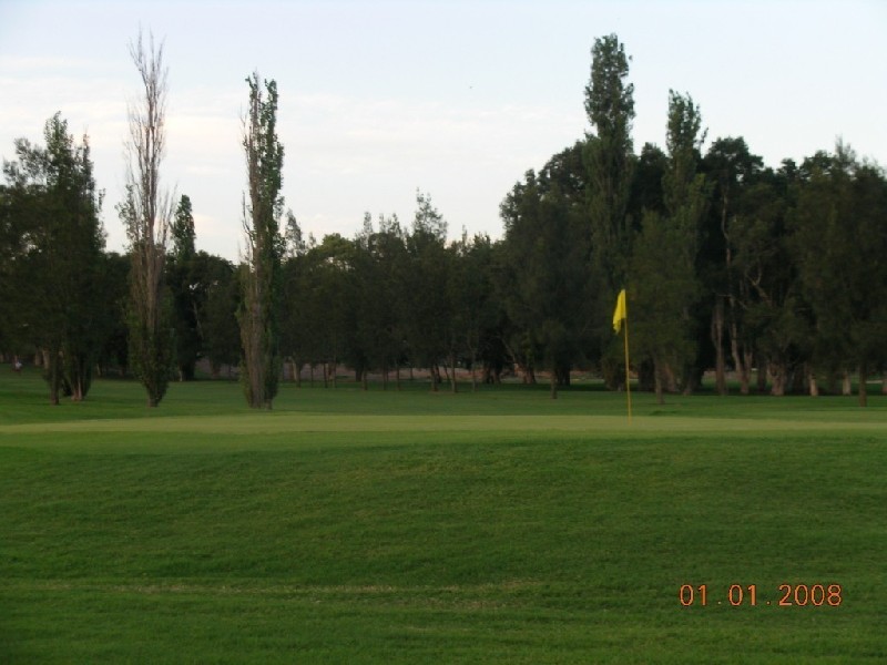 6 Finch Avenue, Concord NSW 2137