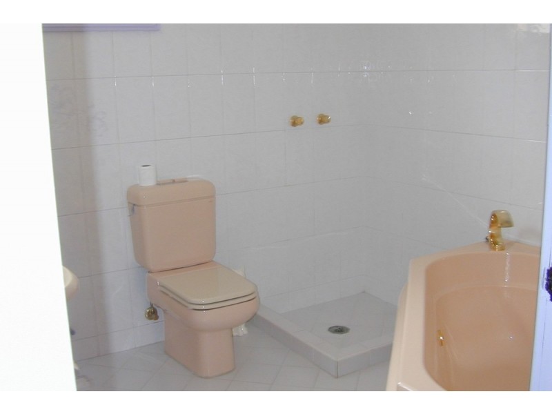 171 Bland St, Haberfield NSW 2045