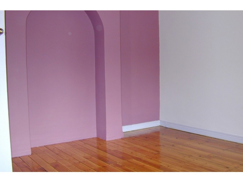 171 Bland St, Haberfield NSW 2045