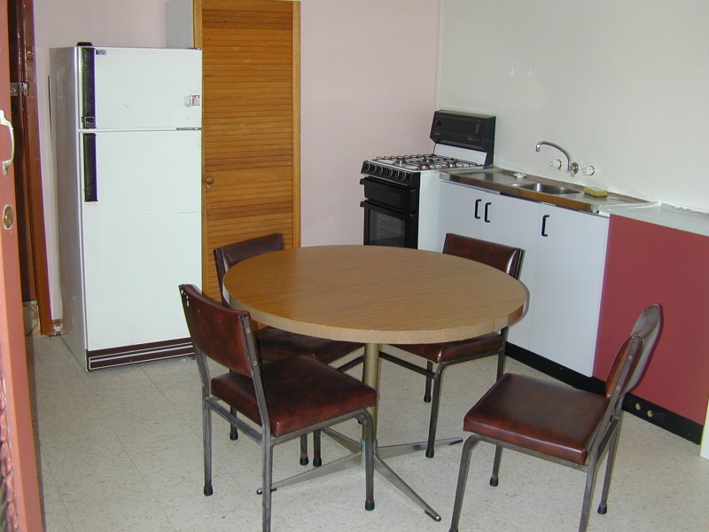 11 Rear Tripod Street, Concord NSW 2137