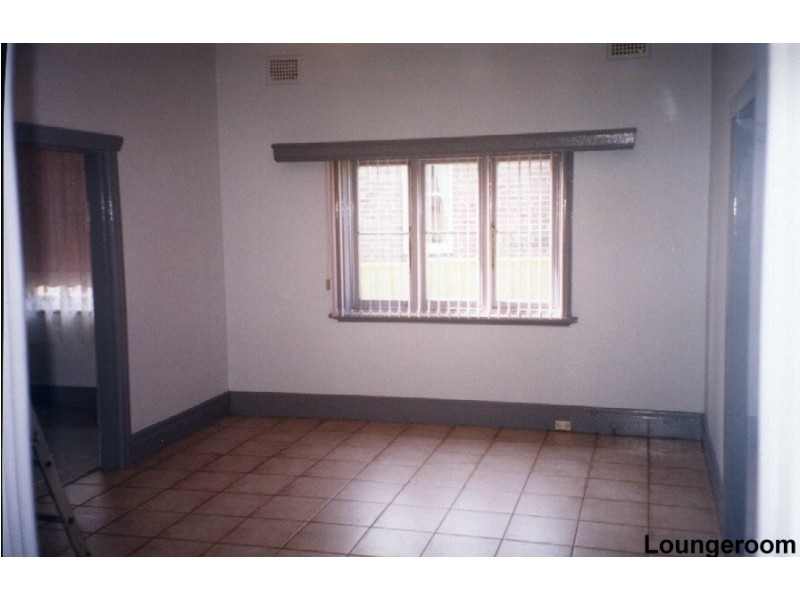 19 Coleman Avenue, North Strathfield NSW 2137