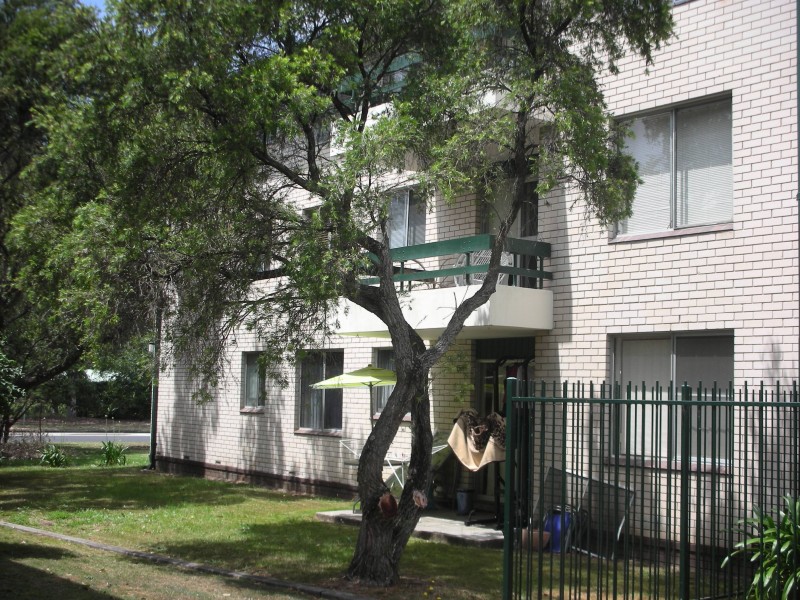 1/2 Corby Avenue, Concord NSW 2137