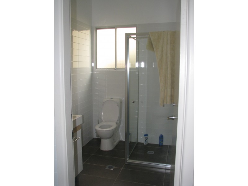 21 Turner Avenue, Concord NSW 2137