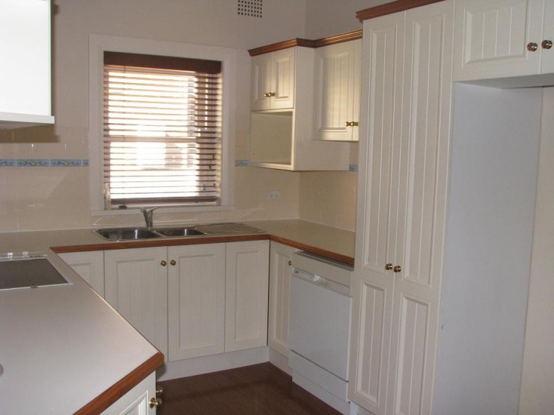 19 Colane Street, Concord West NSW 2138