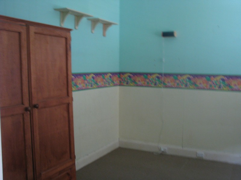 1a Braddon Street, Concord NSW 2137