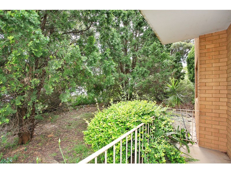 1/6 Napier Street, North Strathfield NSW 2137