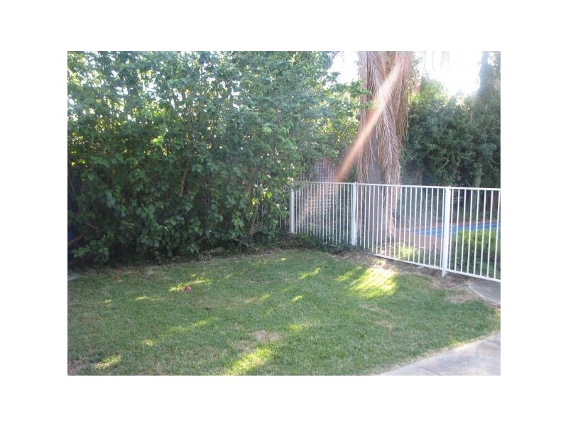 17 Brewer St, Concord NSW 2137