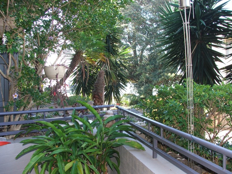 Abbotsford NSW 2046