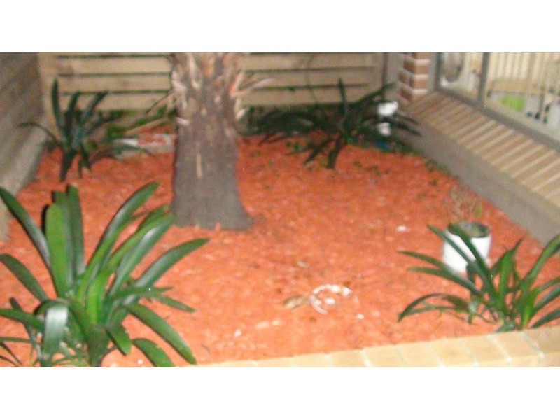 Homebush West NSW 2140