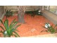 Strathfield NSW 2135