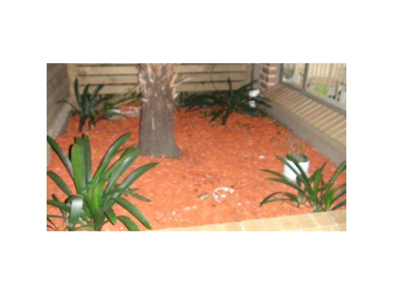 Strathfield NSW 2135