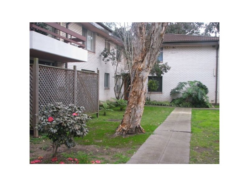 Concord NSW 2137