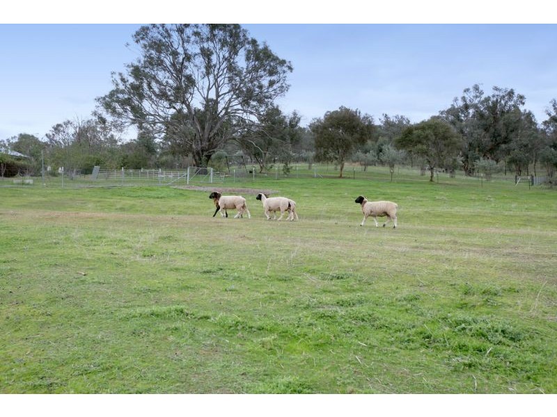 10 Melia Place, Springvale, Wagga Wagga NSW 2650