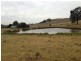 850 Pulletop Road, Big Springs NSW 2650