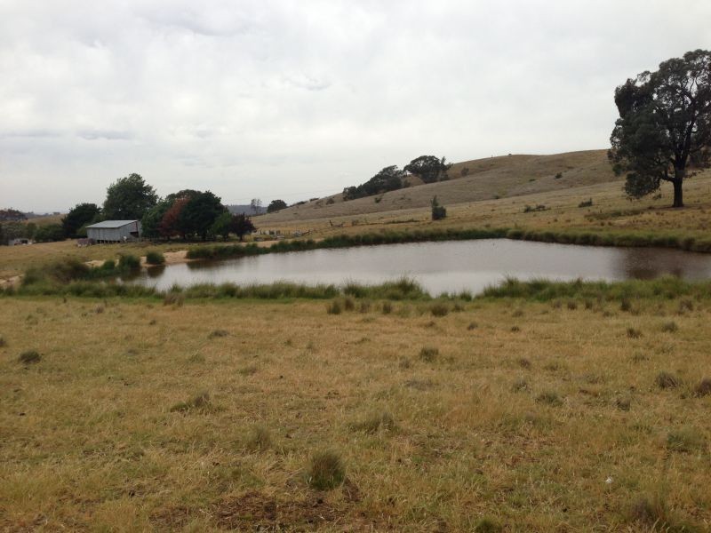 850 Pulletop Road, Big Springs NSW 2650