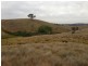 850 Pulletop Road, Big Springs NSW 2650