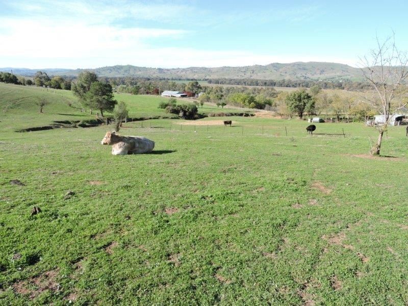 Address Available Upon Request, Gundagai NSW 2722