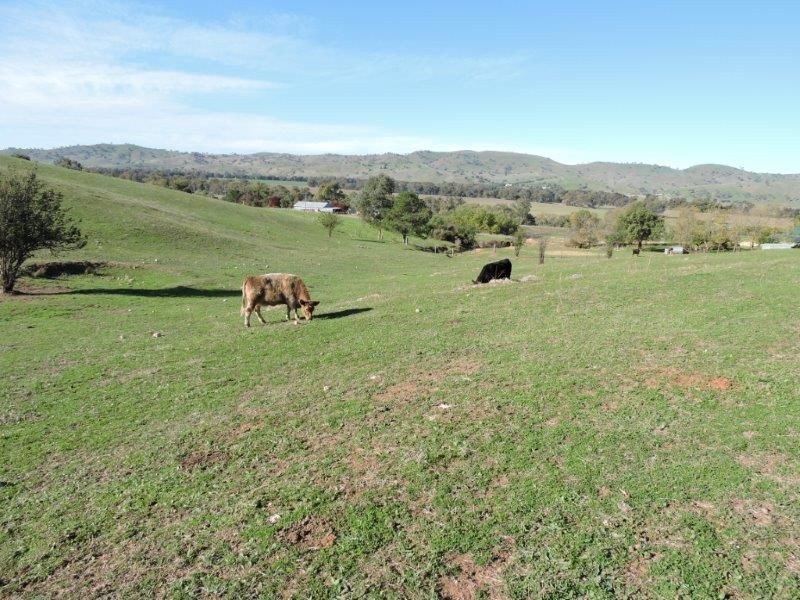Address Available Upon Request, Gundagai NSW 2722
