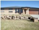 1 Pinnacle Place, Wagga Wagga NSW 2650