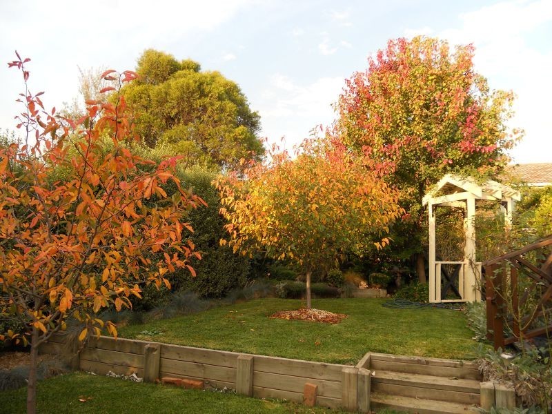 21 Sherwood Avenue, Kooringal NSW 2650