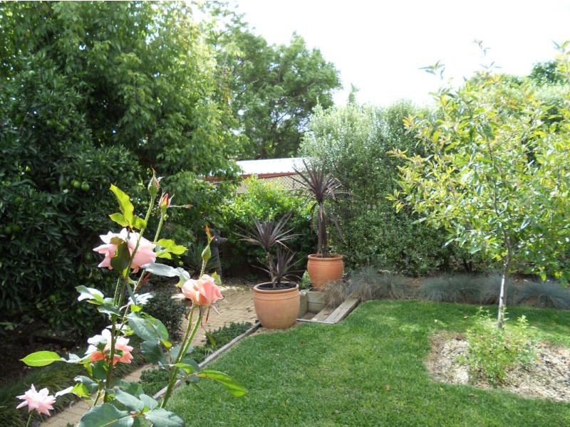 21 Sherwood Avenue, Kooringal NSW 2650