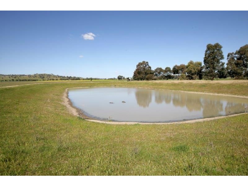 79 Parkins Road, Wagga Wagga NSW 2650