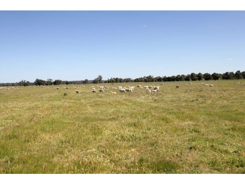 79 Parkins Road, Wagga Wagga NSW 2650