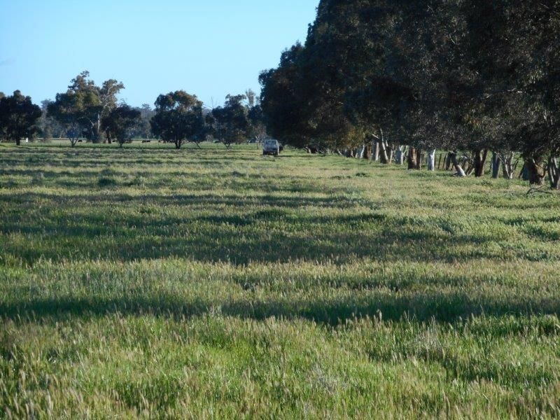 79 Parkins Road, Wagga Wagga NSW 2650