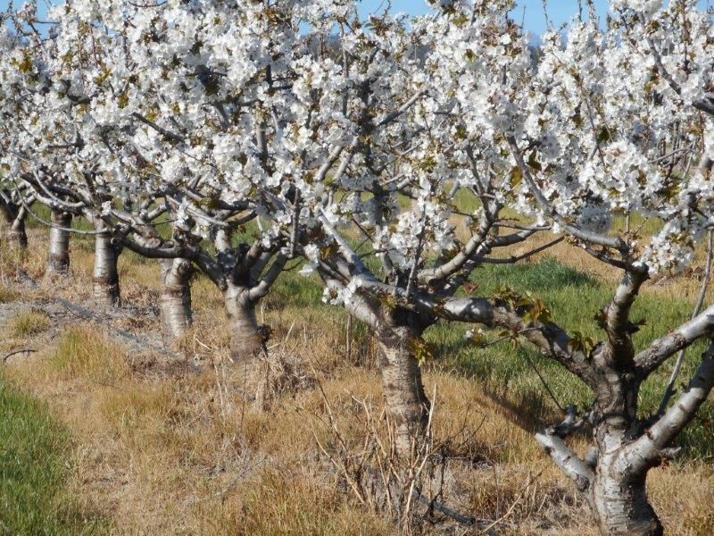 79 Parkins Road, Wagga Wagga NSW 2650