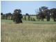 281 Hawthorns Lane, Coolamon NSW 2701