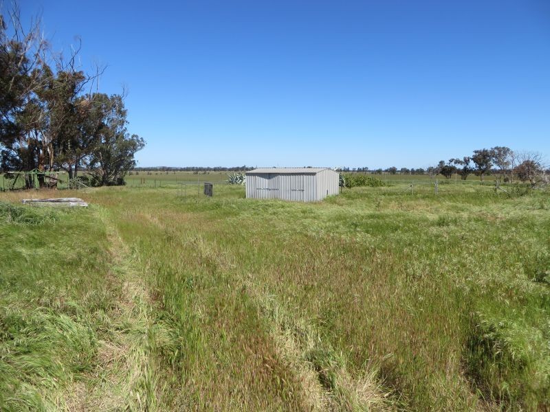 281 Hawthorns Lane, Coolamon NSW 2701