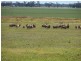 281 Hawthorns Lane, Coolamon NSW 2701