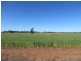 281 Hawthorns Lane, Coolamon NSW 2701