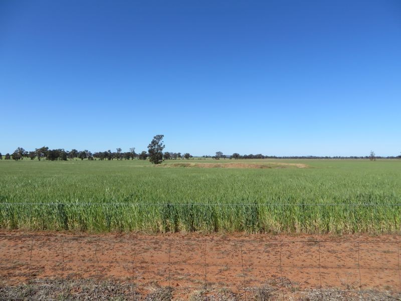 281 Hawthorns Lane, Coolamon NSW 2701